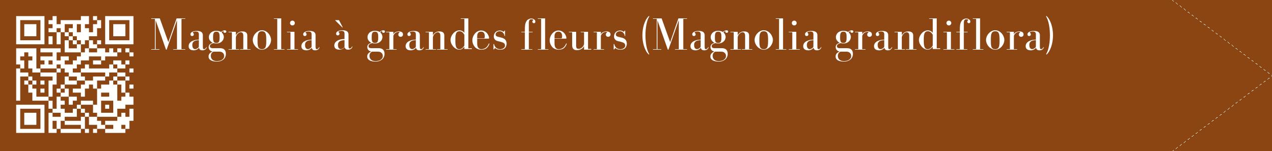 étiquette 2
