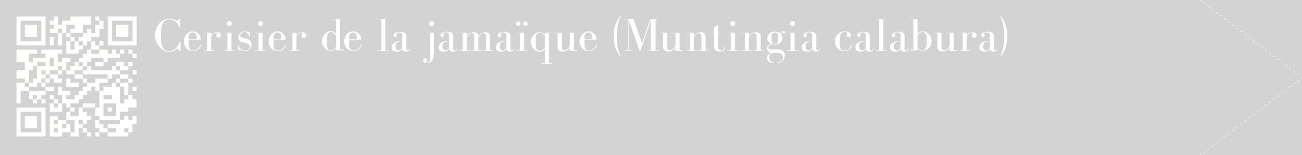 étiquette 2