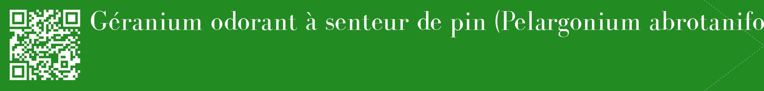 étiquette 2