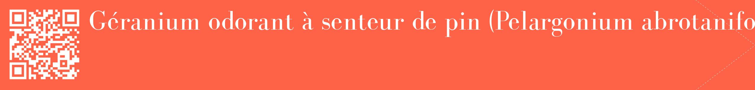 étiquette 2