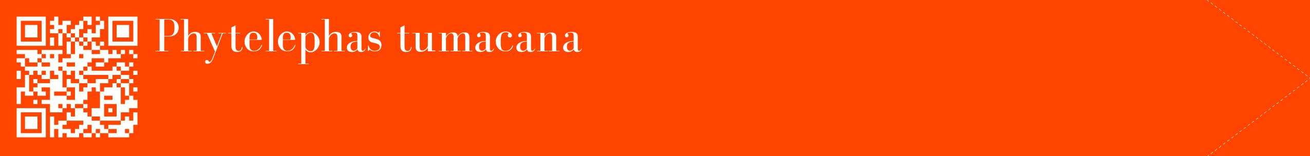 étiquette 2