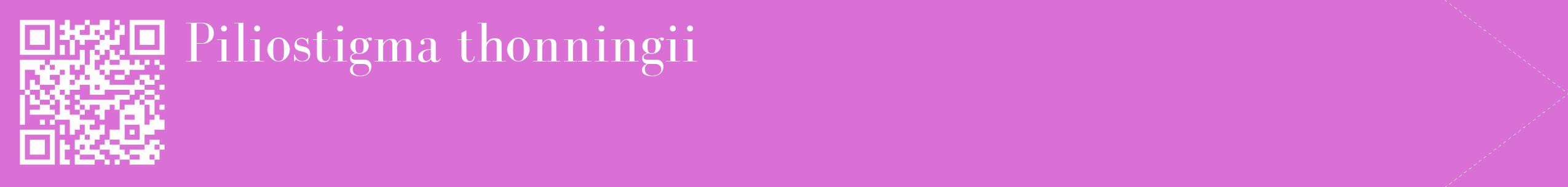 étiquette 2