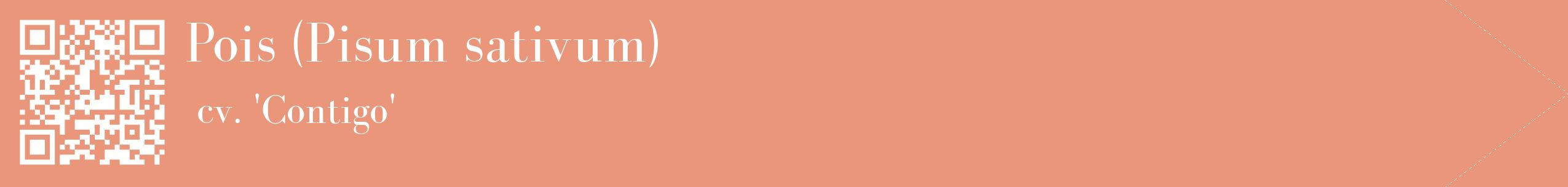 étiquette 2
