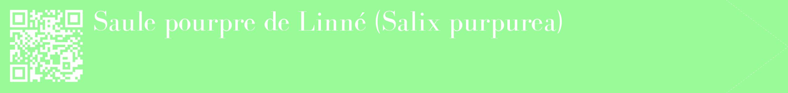 étiquette 2