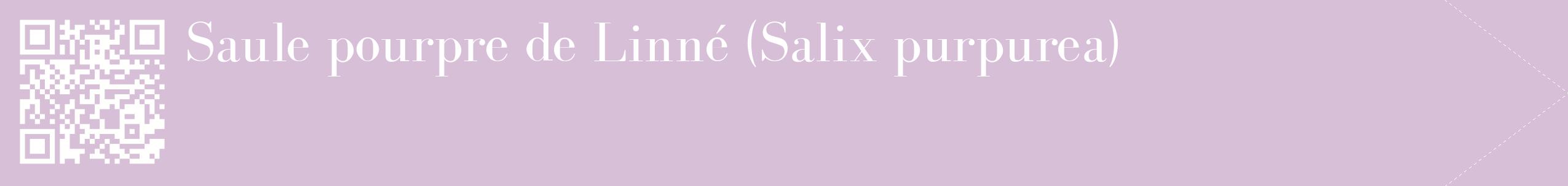 étiquette 2