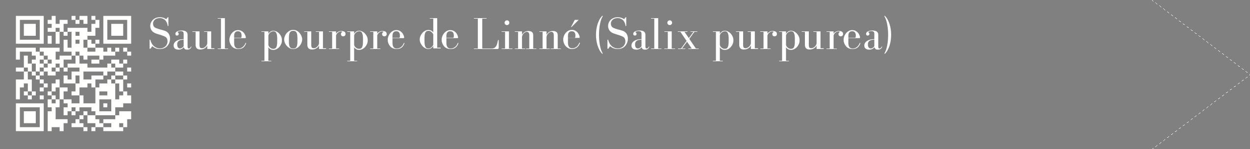 étiquette 2