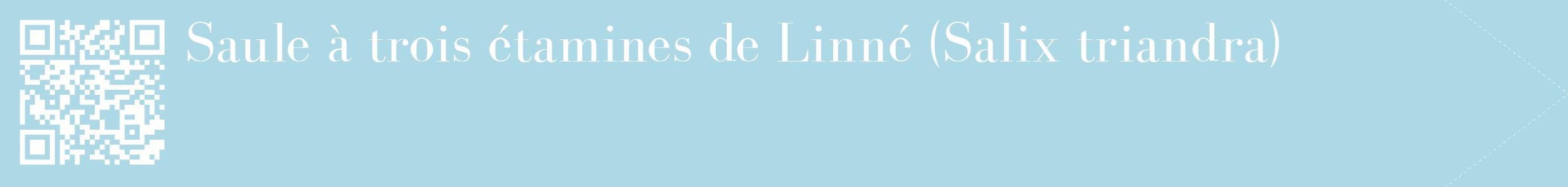 étiquette 2