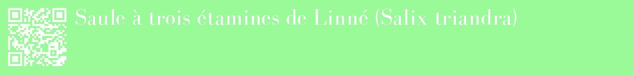 étiquette 2
