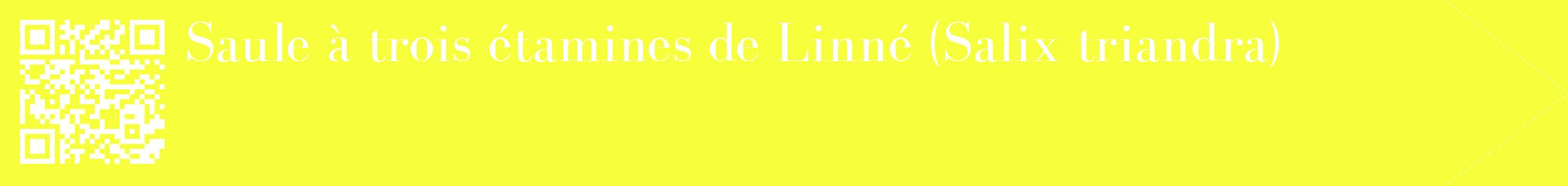 étiquette 2