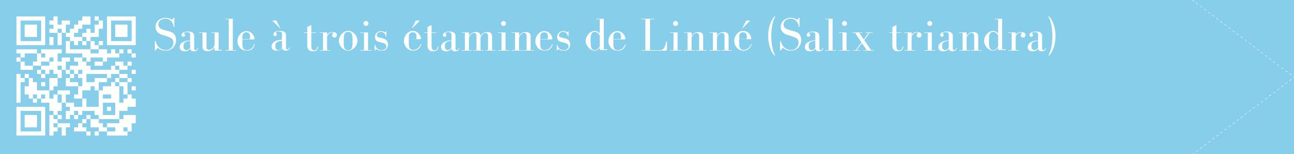 étiquette 2