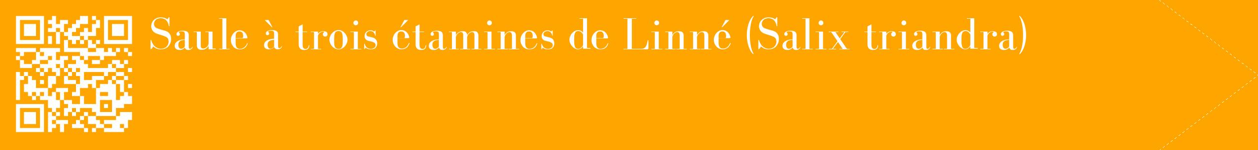 étiquette 2