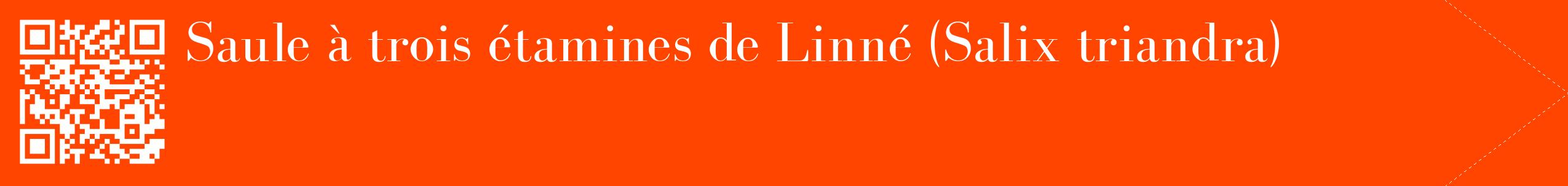 étiquette 2
