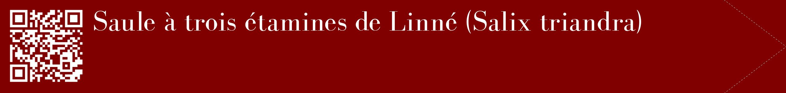 étiquette 2