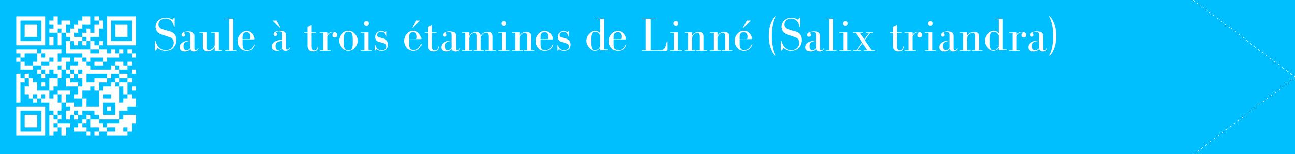 étiquette 2