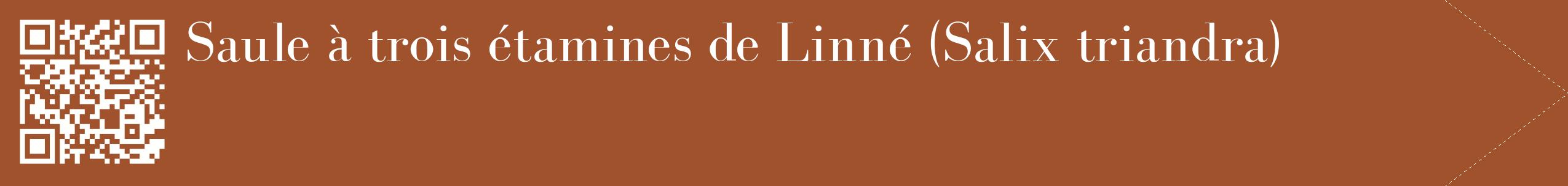 étiquette 2