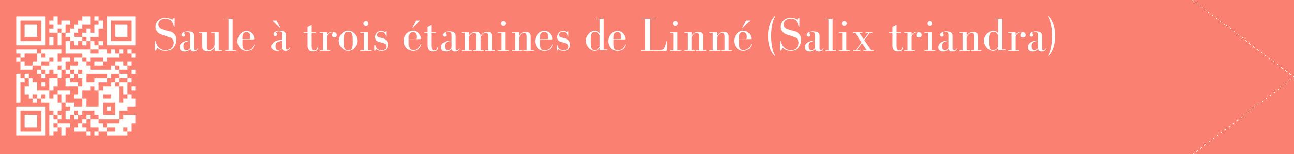étiquette 2