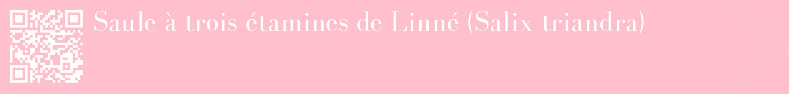 étiquette 2