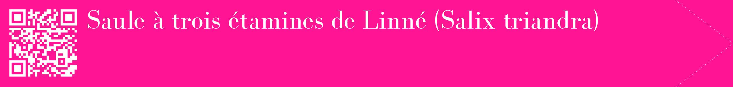 étiquette 2