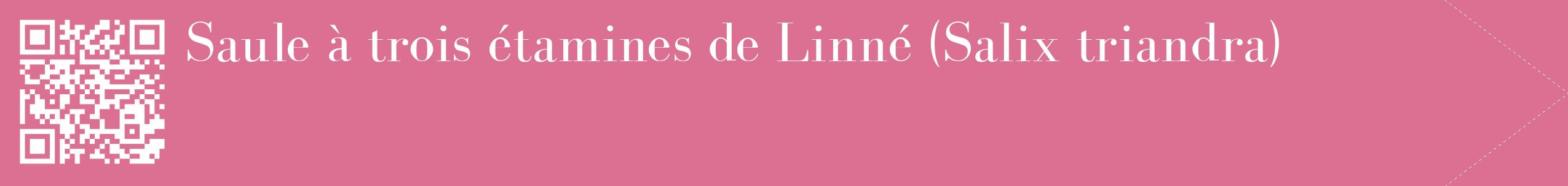 étiquette 2