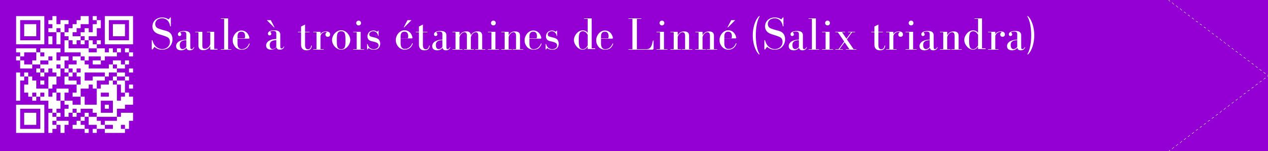 étiquette 2