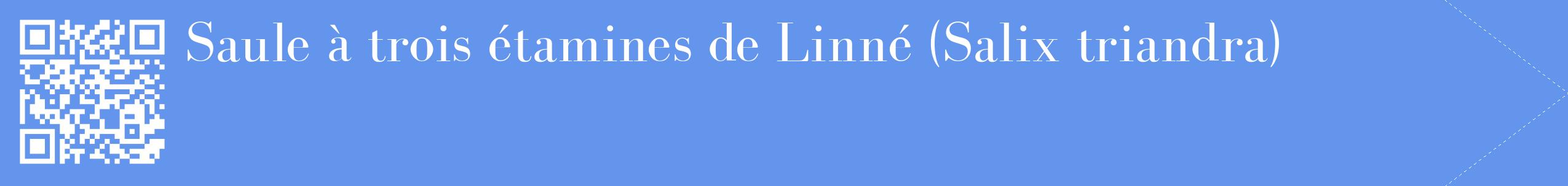 étiquette 2