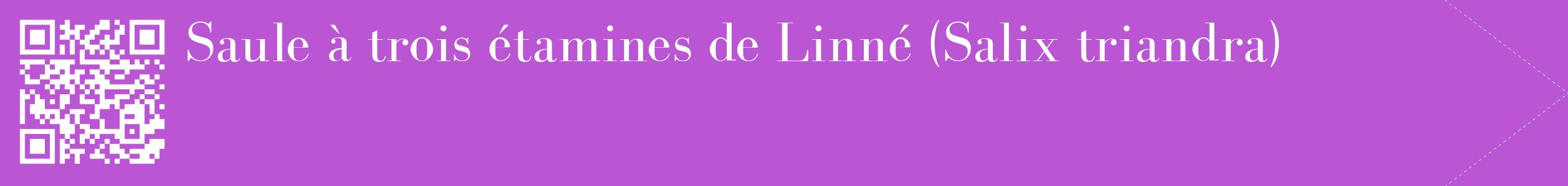 étiquette 2