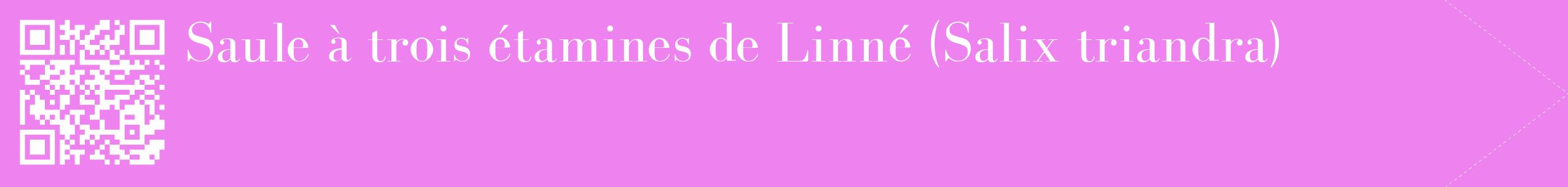 étiquette 2