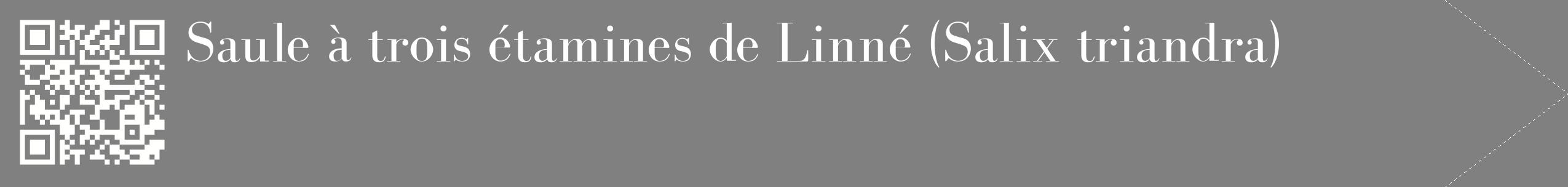 étiquette 2