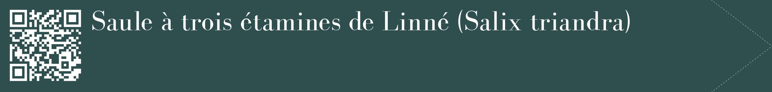 étiquette 2