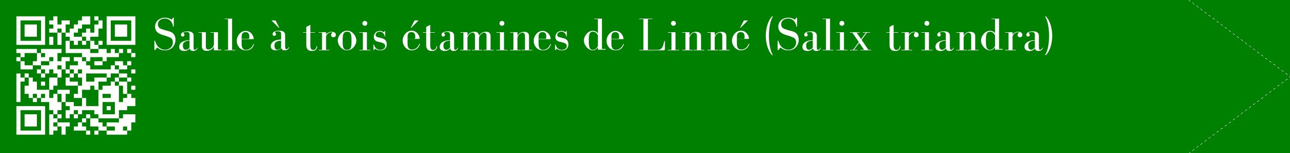 étiquette 2
