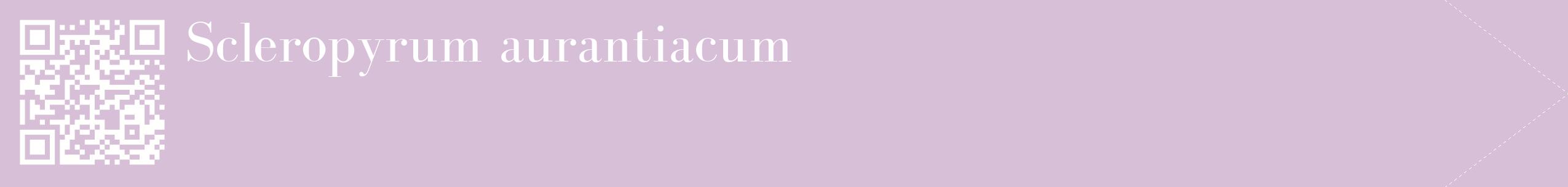 étiquette 2