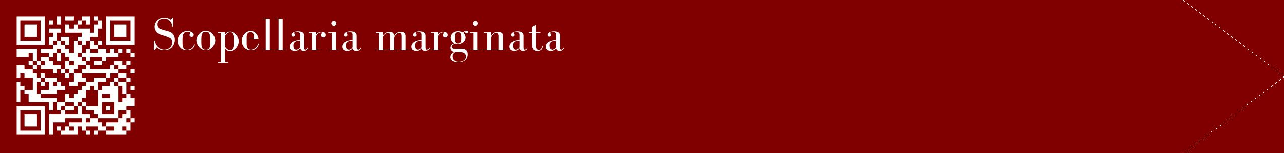 étiquette 2