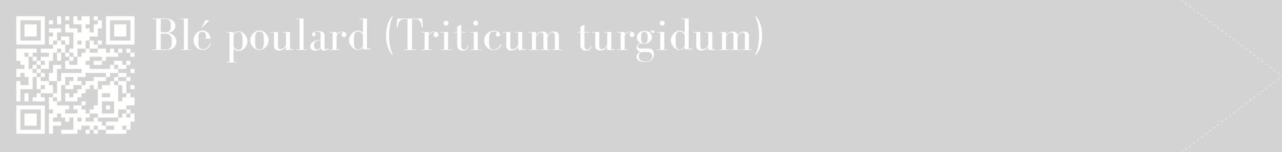 étiquette 2